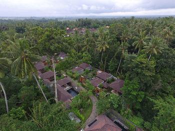 Hotel Ubud Raya Villa - Bild 4