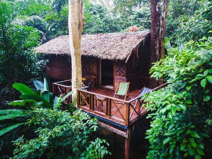 Hotel Our Jungle House - Bild 1