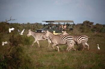 Hotel Elewana Tortilis Camp Amboseli - Bild 5