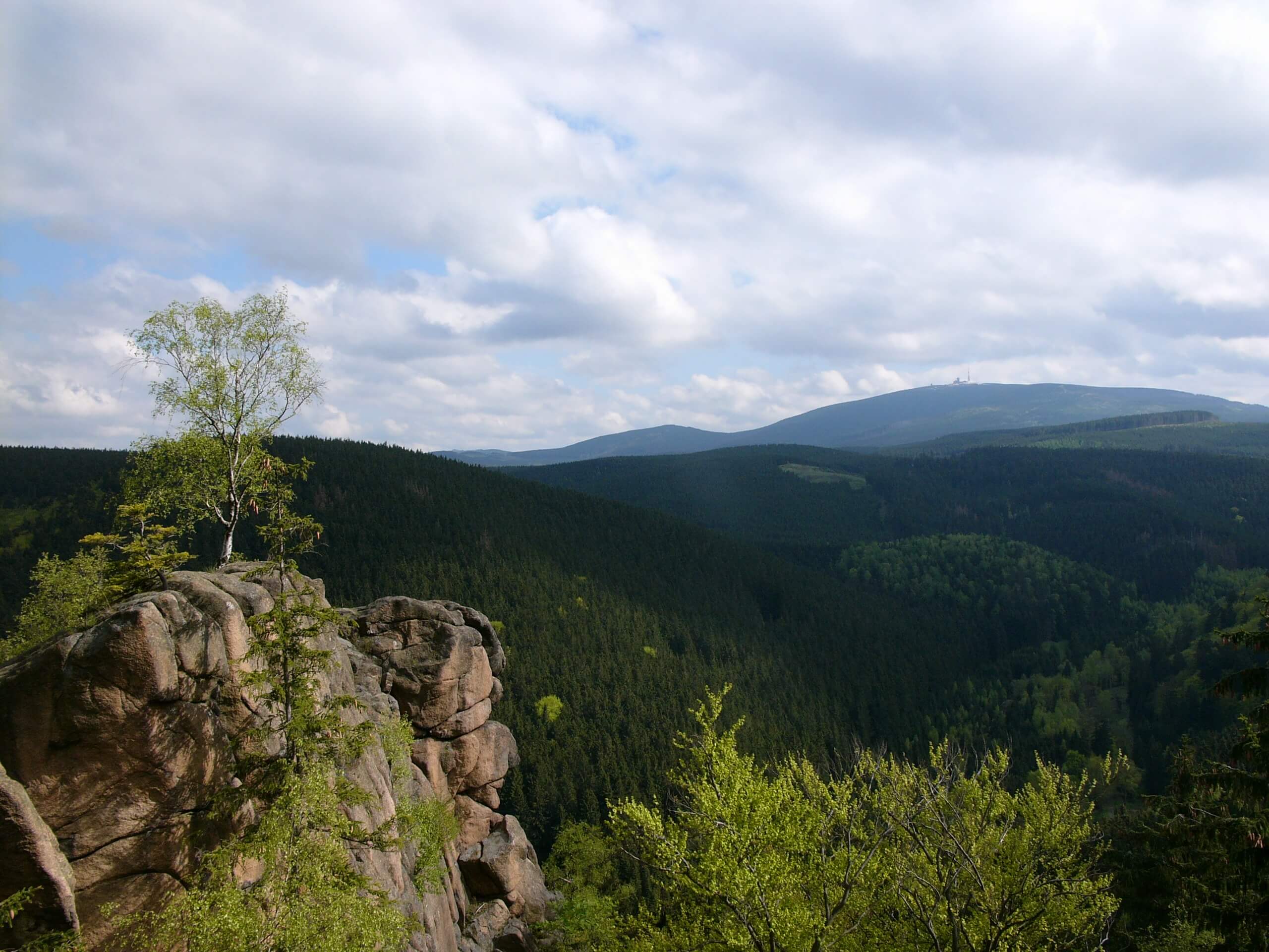 Der Nationalpark Harz: Naturschutz und pure Erholung