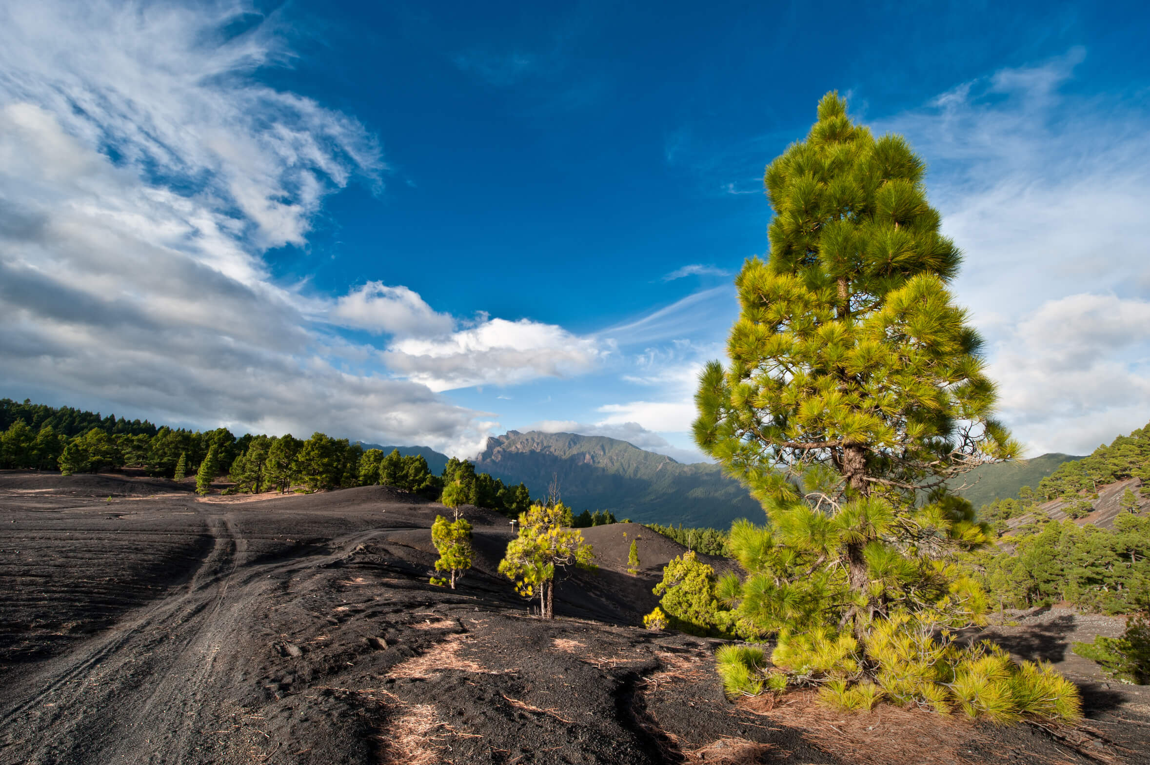 Lavalandschaft Cumbre Nueva auf La Palma