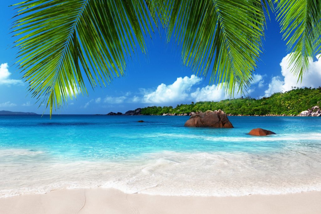 Seychellen: Das wird der schönste Urlaub Deines Lebens