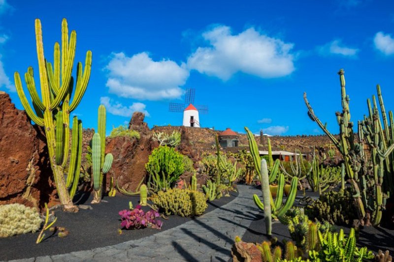 Lanzarote: Sehenswürdigkeiten & Tipps Für Die Vulkaninsel