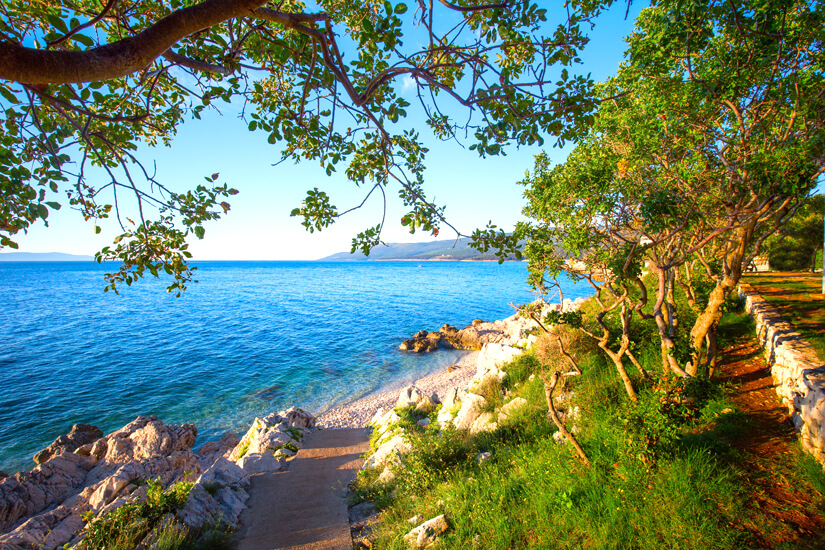 Baden unter Pinien an der istrischen Riviera