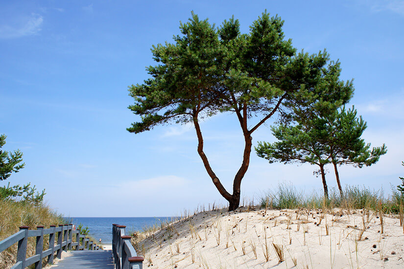 Strandaufgang auf Usedom