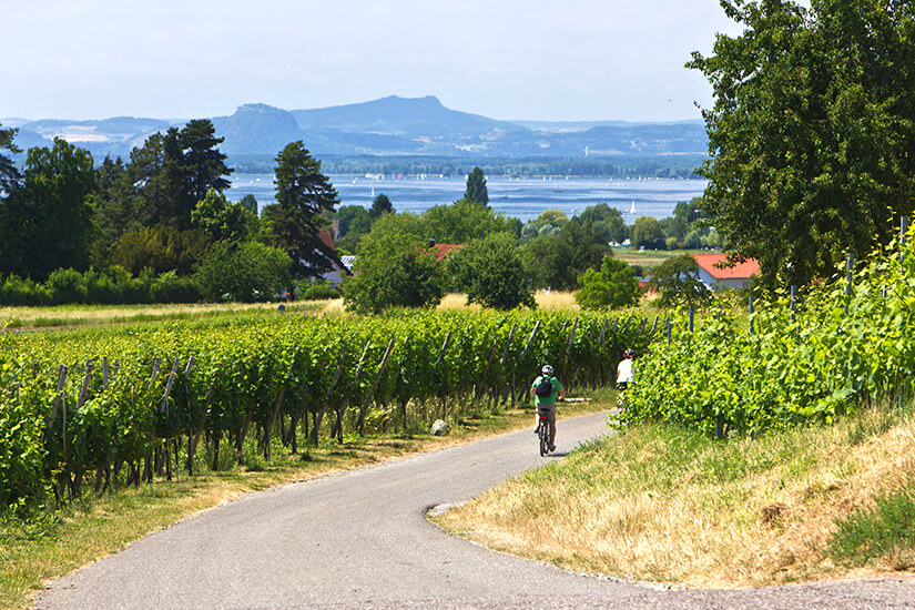 Reichenau Die größte Insel am Bodensee & UNESCOWelterbe