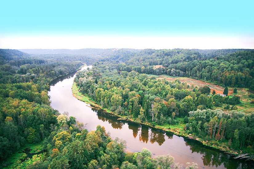 Die Gauja fließt durch den Nationalpark