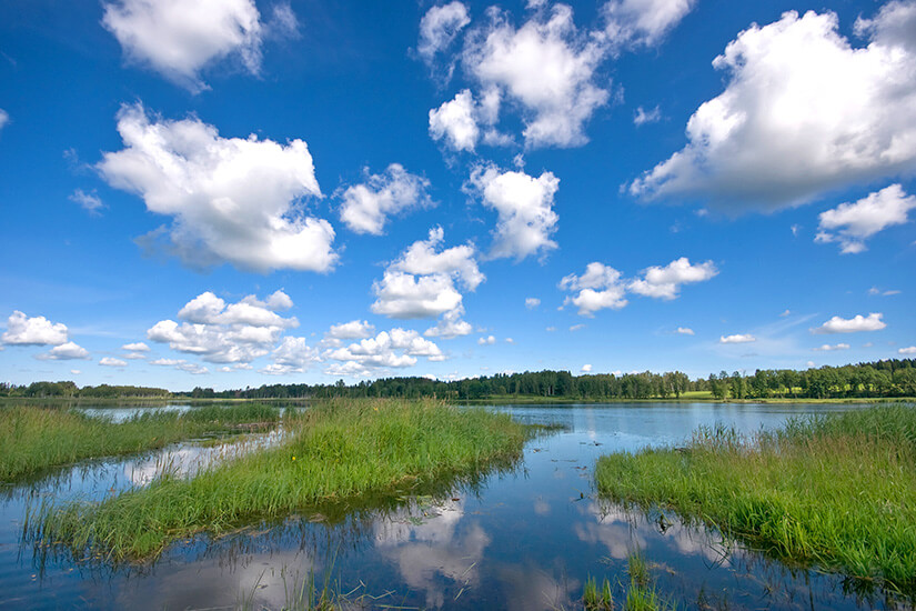 Dridza-See in der Provinz Latgale