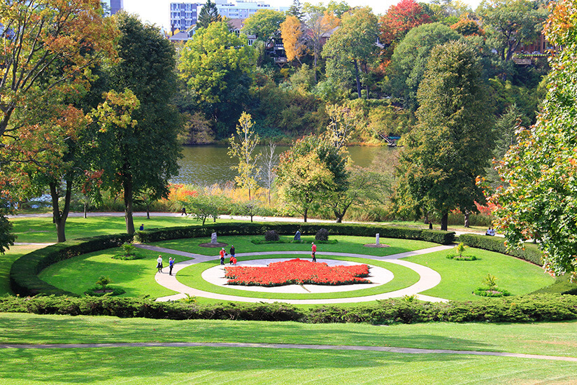 Grüner High Park