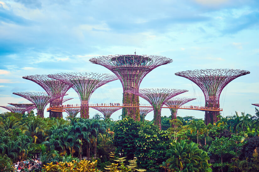 Einer der längsten Linienflüge weltweit endet in Singapur