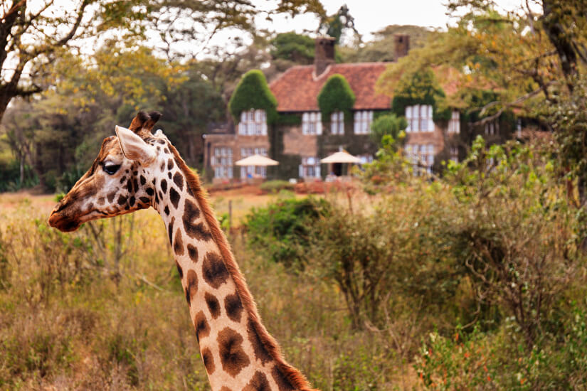 Langatta Giraffe Center