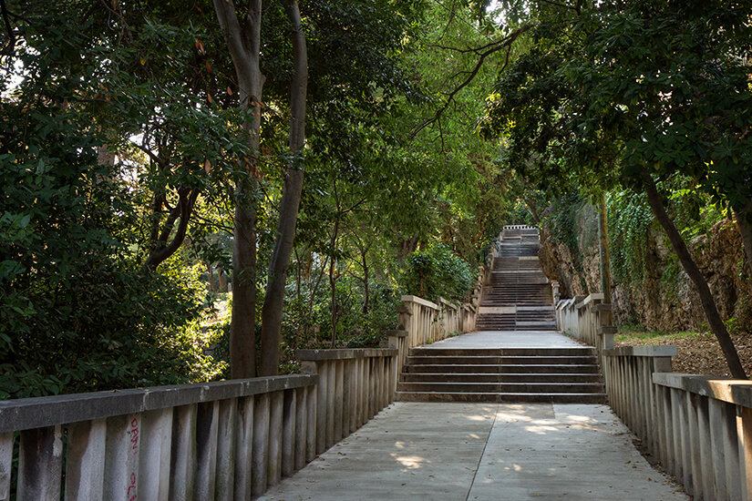Treppe im Waldpark Marjan