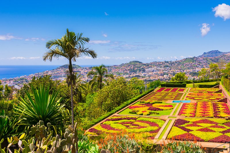 Madeira: Tipps für Funchal & Co. auf Portugals Insel