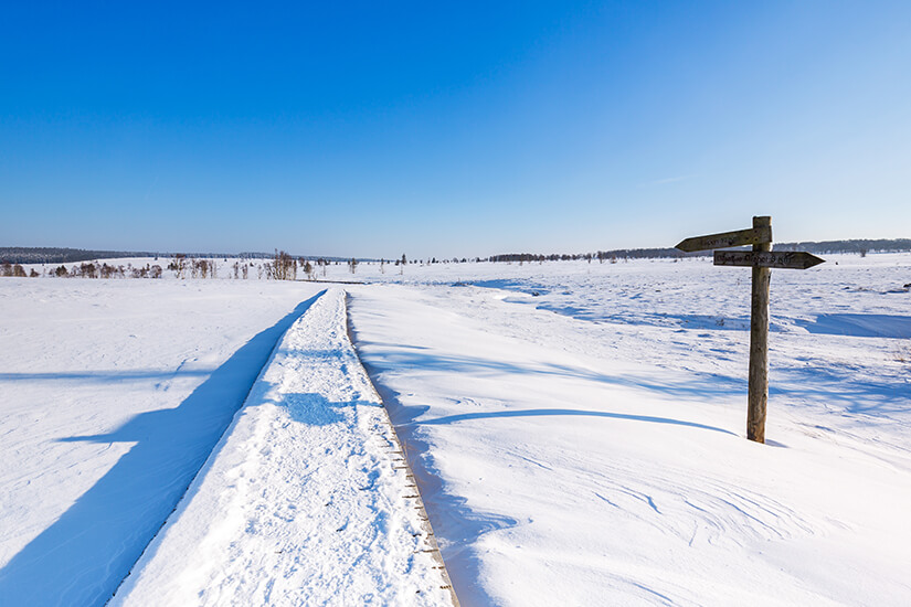 Winterwanderung durchs Hohe Venn