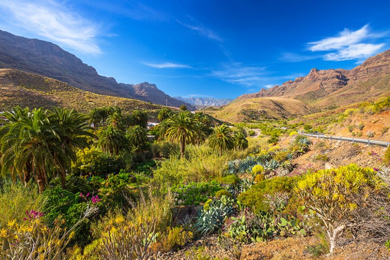 Gran Canaria: Tipps & Infos für die kanarische Insel