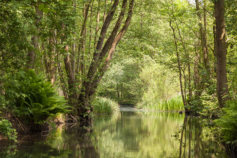 Spreewald UNESCO Biosphaerenreservat