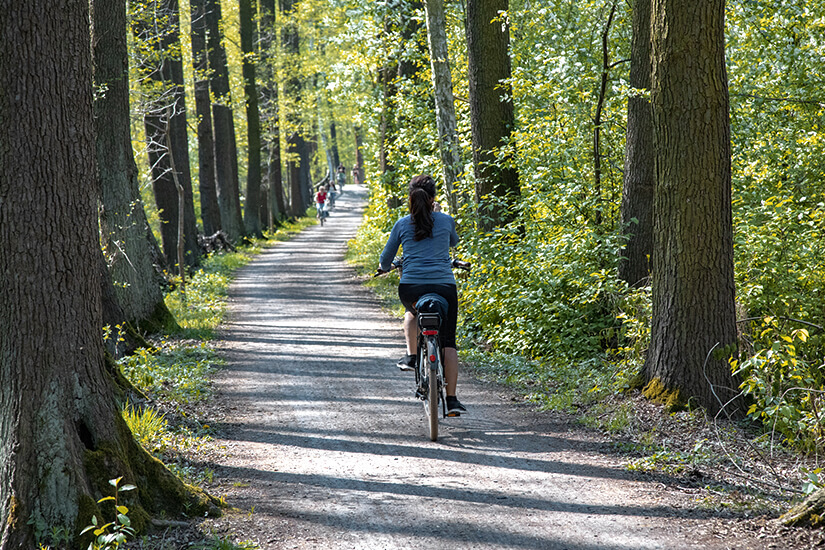 Der Gurkenradweg im Spreewald