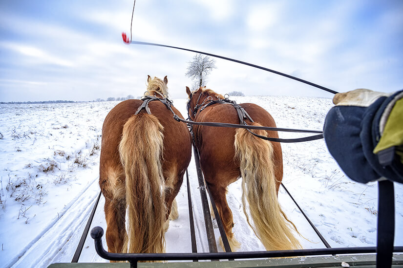 Schlittenfahrt im Masuren-Winter