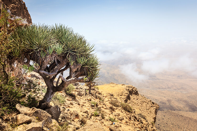 Ausblick vom Jebel