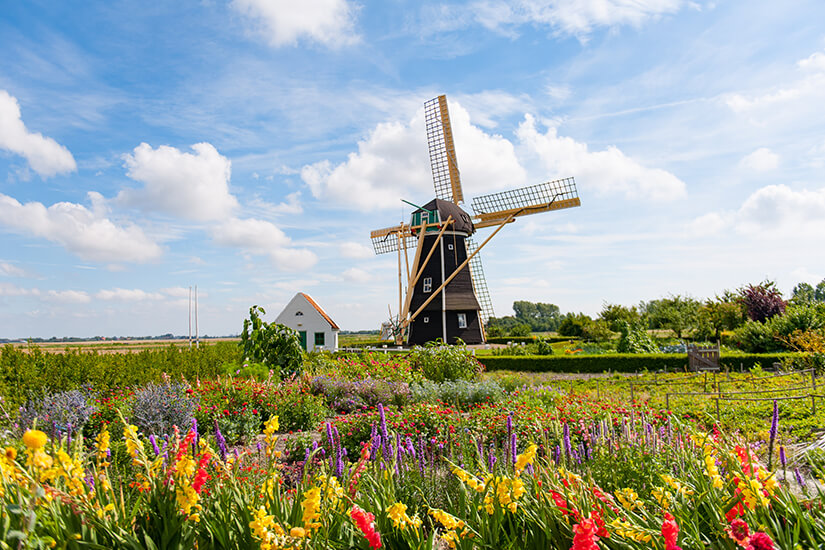 Windmuehle in Zeeland