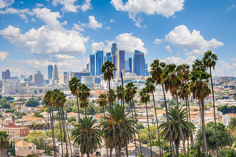 Blick auf Los Angeles mit Palmen