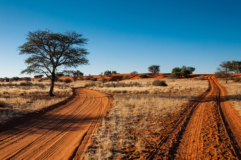 Sandpiste in der Kalahari