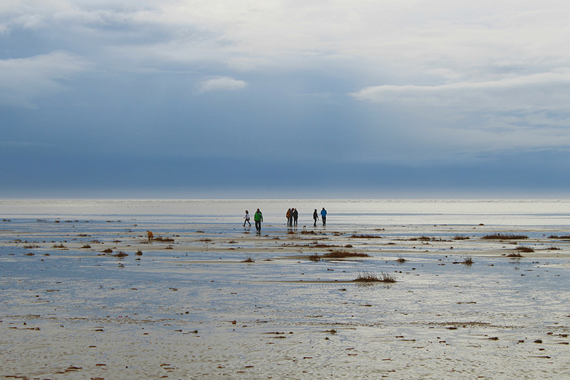 Spaziergang im Wattenmeer bei Fanoe