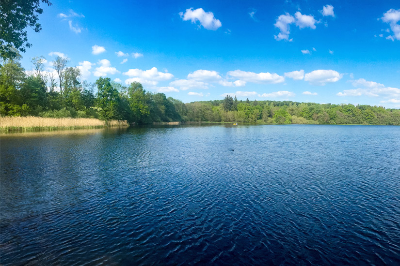 Westerwaelder Seenplatte im Sommer