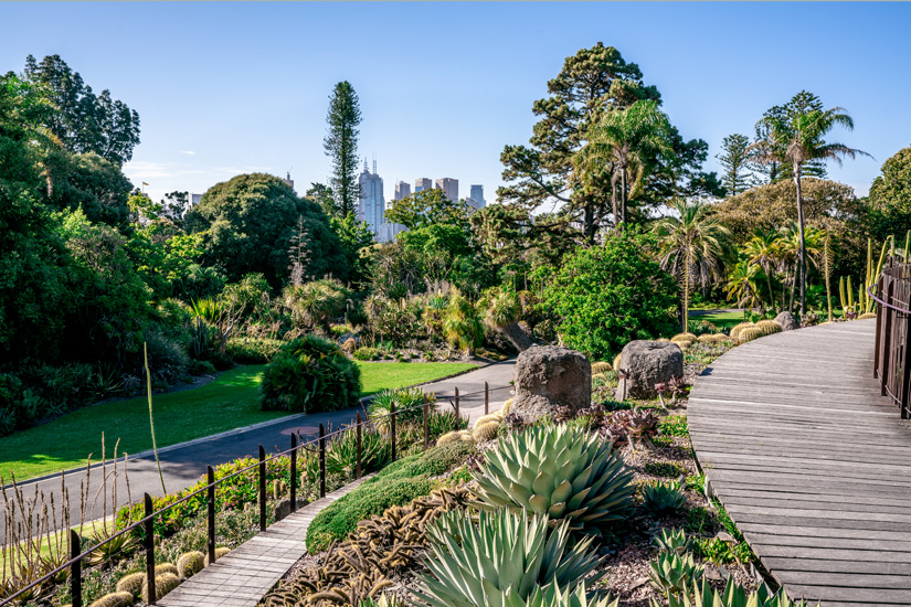 Botanischer Garten von Melbourne