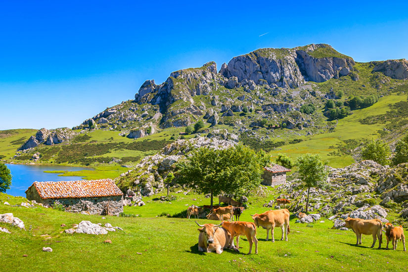 See-von-Covadonga-Picos-de-Europa