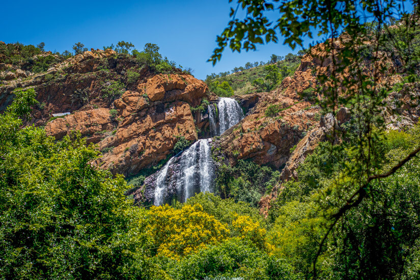 Walter-Sisulu-National-Botanical-Garden-Johannesburg