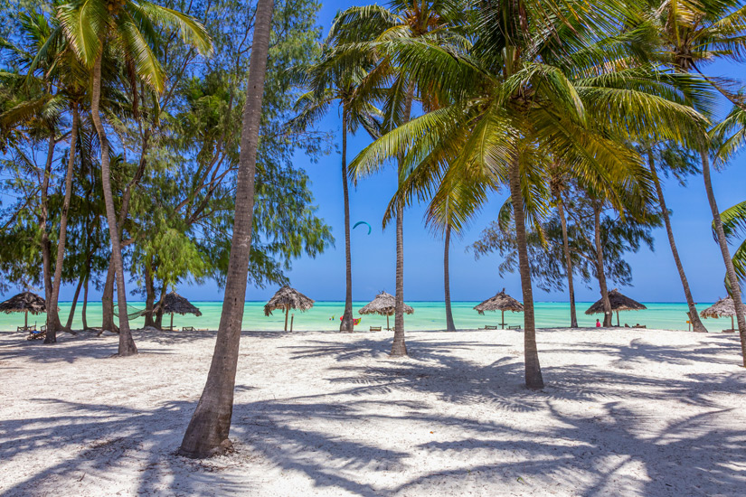 Palmen auf dem Paje Beach