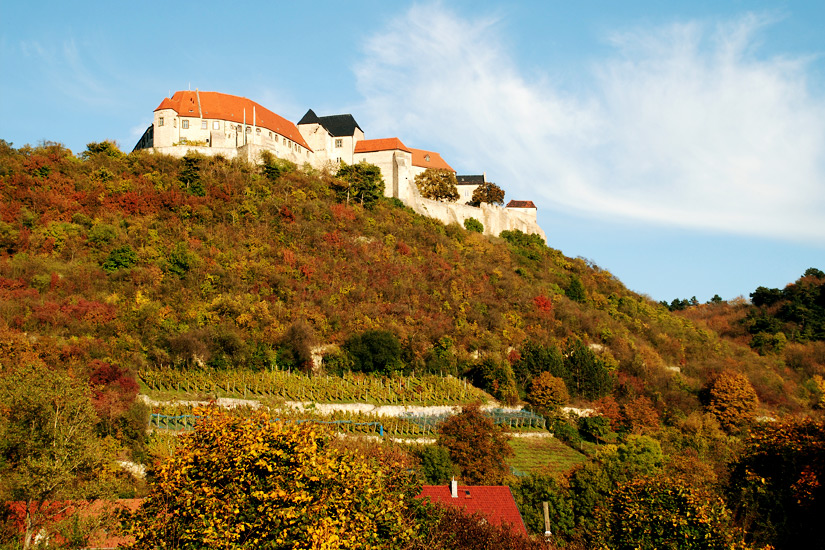 Schlossberg-Freiburg