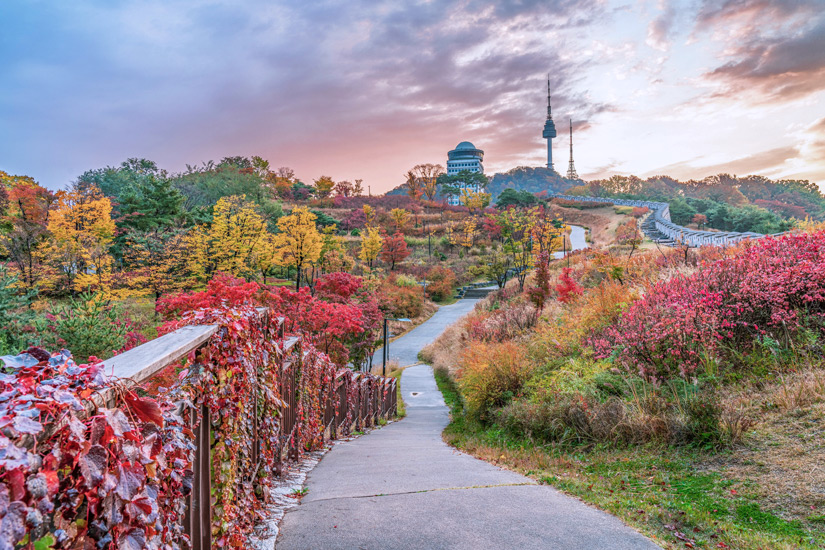 Weg zum N Seoul Tower im Herbst