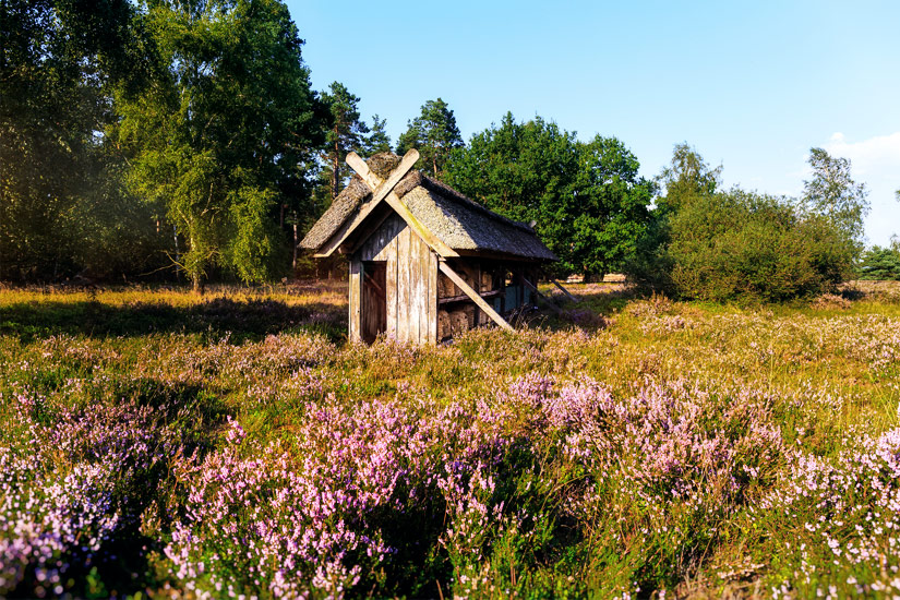 Bienenhaus-Lueneburger-Heide