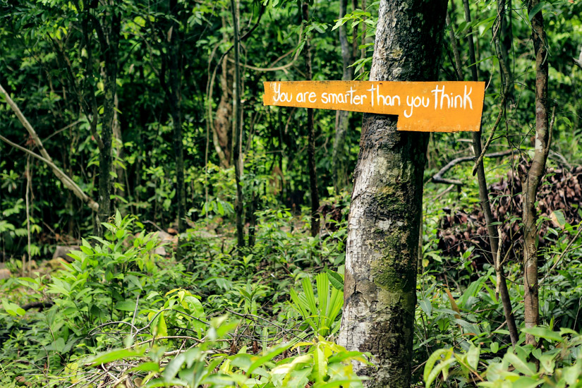 Wandern durch den Dschungel von Koh Rong