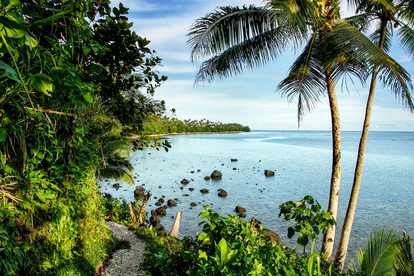 Wanderweg auf Taveuni Island