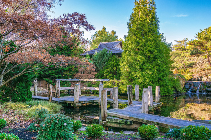 Die-Roya-Tasmanian-Botanical-Gardens