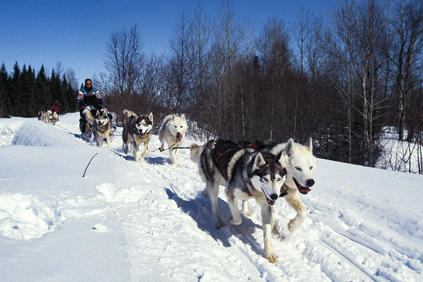 Mit dem Hundeschlitten durch Quebecs Waelder