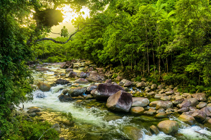 Bach-im-Daintree-National-Park