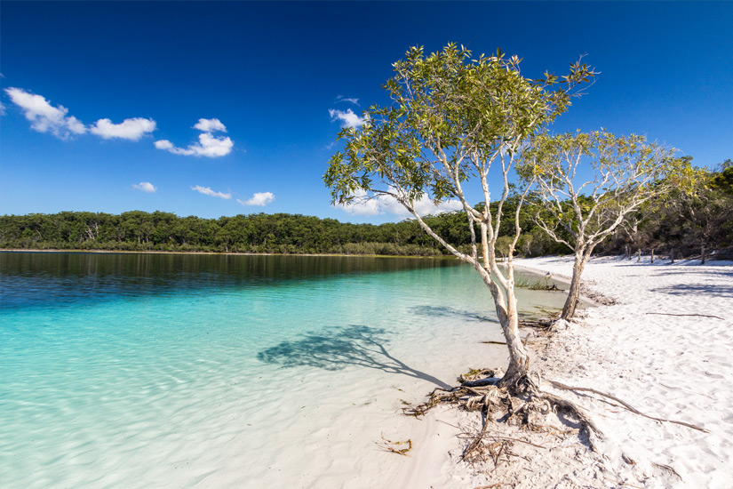 Lake-McKenzie-auf-Fraser-Island