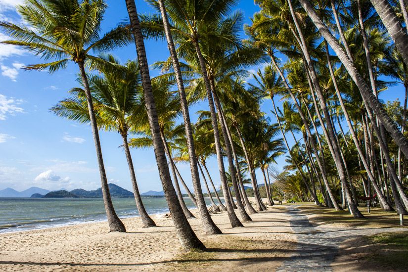 Der-saubere-Palm-Cove