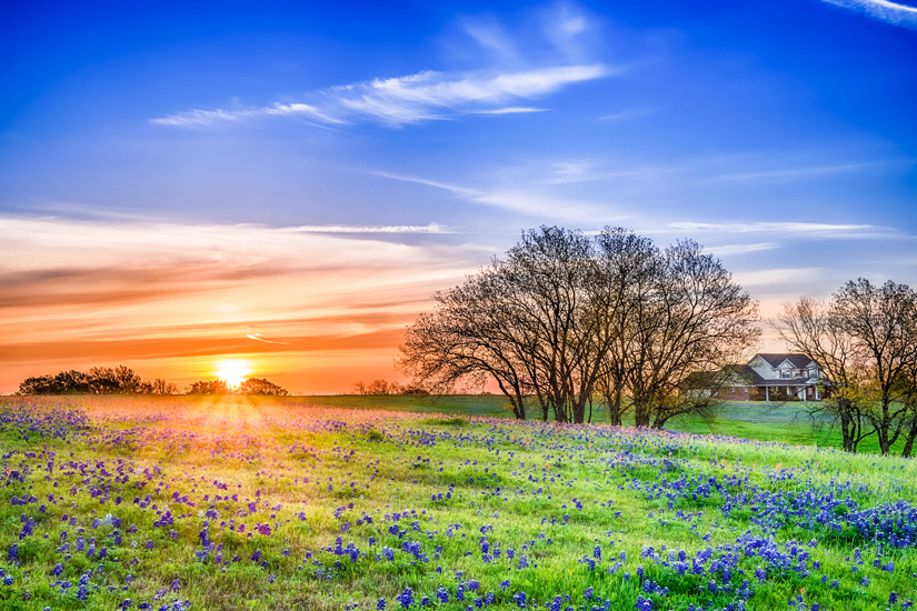 Texas-Sonnenaufgang-im-Fruehling