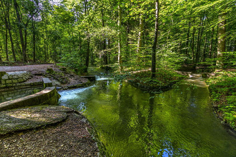 Spazieren-im-Siebentischwald