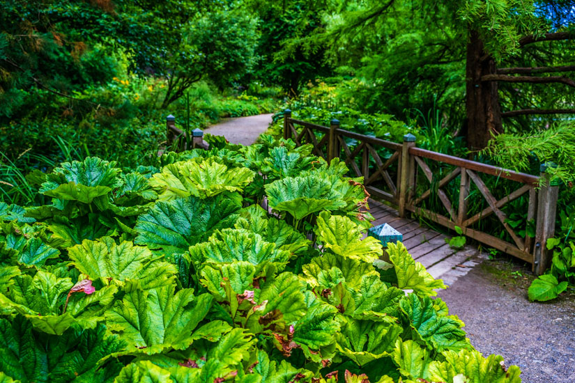 Im-Botanischen-Garten-Augsburg