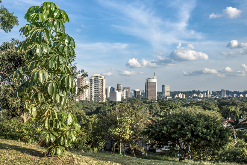 Moema-Sao-Paulo