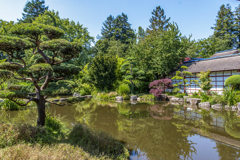 Japanischer-Stil-im-Jardin-L-ile-de-Versaille