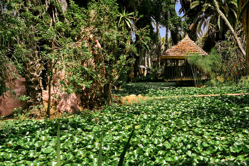 Botanischer-Garten-Bouknadel