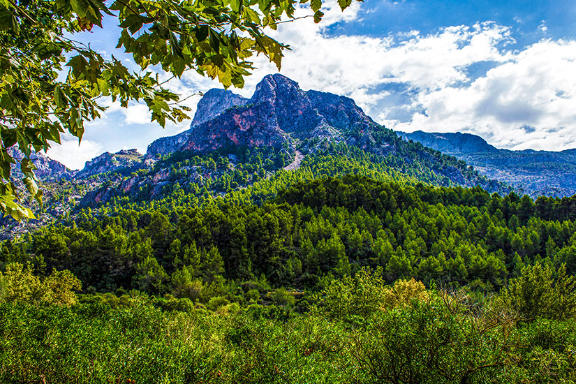 Serra-de-Tramuntana