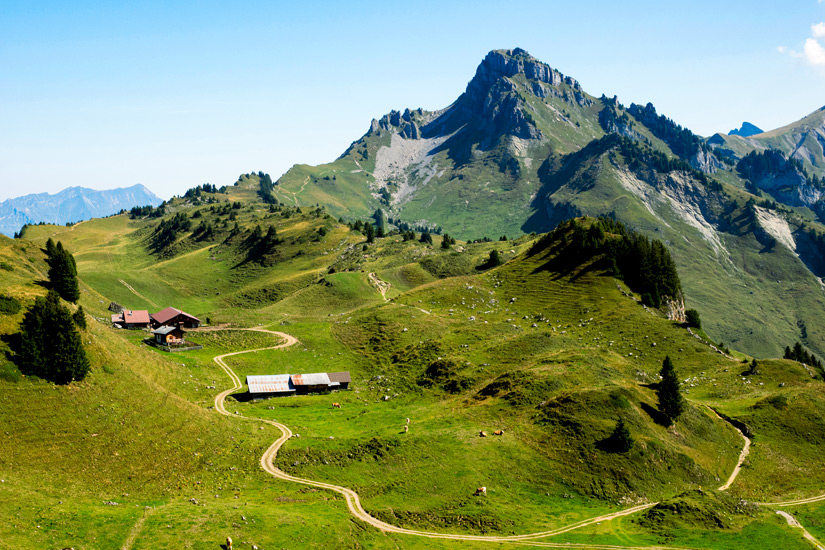 Schynige-Platte